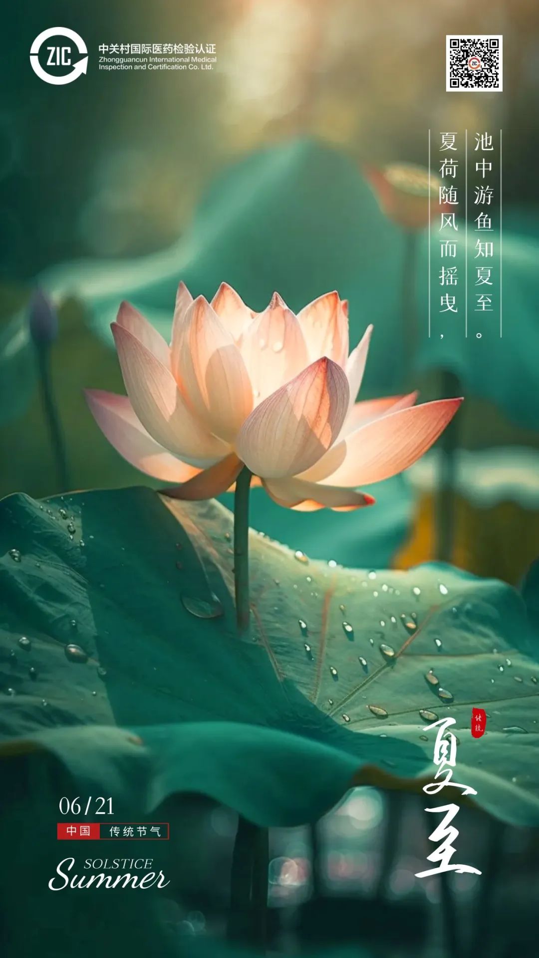 中关村国际医药检验认证夏至图片