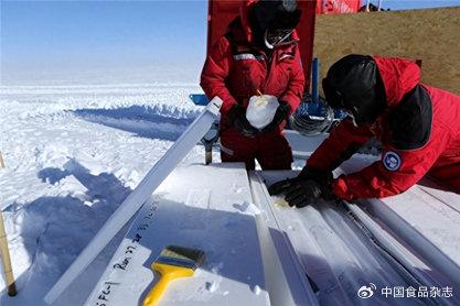 重大消息,中国在南极发现“海上粮仓”,能养活14亿人