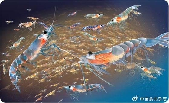重大消息,中国在南极发现“海上粮仓”,能养活14亿人